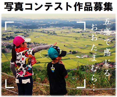 素材
