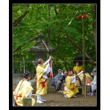 入選　松本 俊一　飛んだ