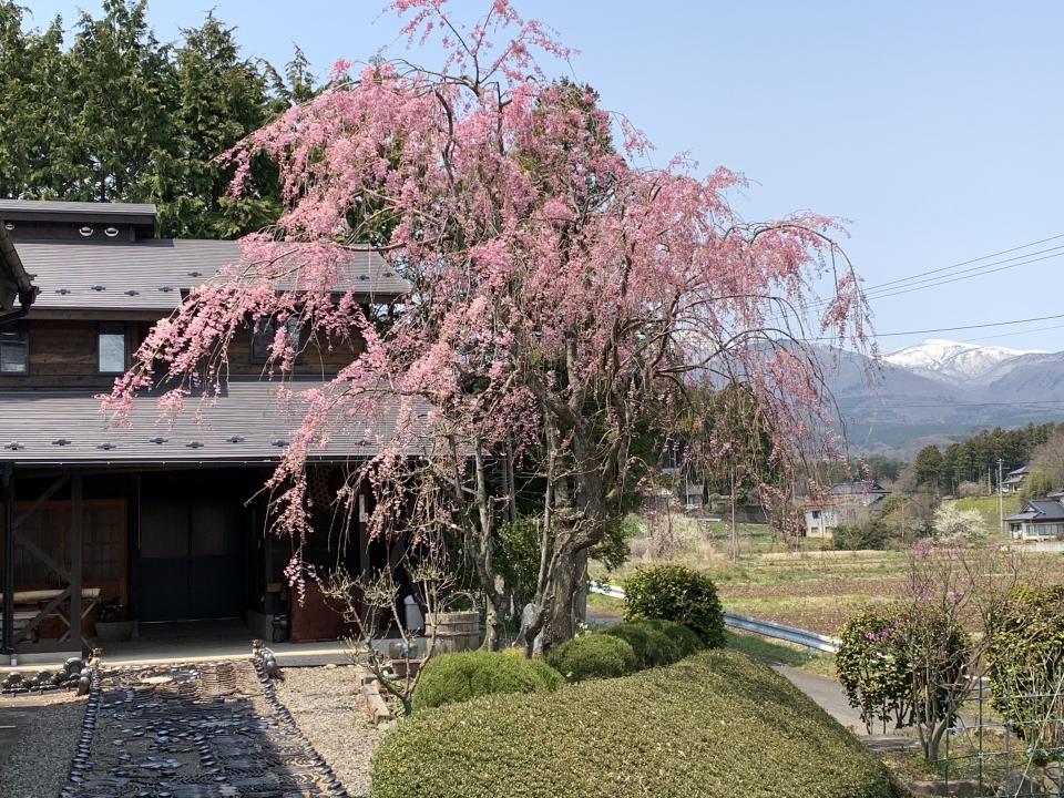 生粉打ち蕎麦・ 家庭料理の花菜(はな)店舗