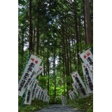 【優秀賞 歴史部門】「凛緑の参道」