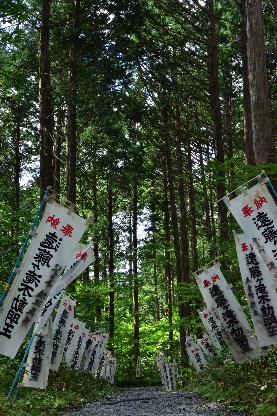 【優秀賞 歴史部門】「凛緑の参道」