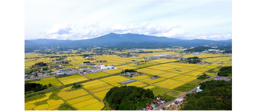 村