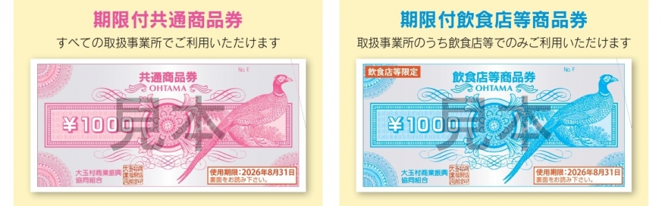 期限付き商品券（見本）