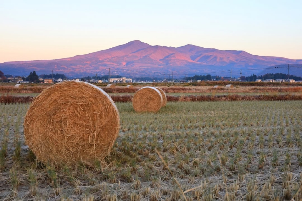 【最優秀賞】karunoisi（2026.1.17）