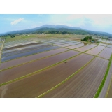 大玉村の田植え